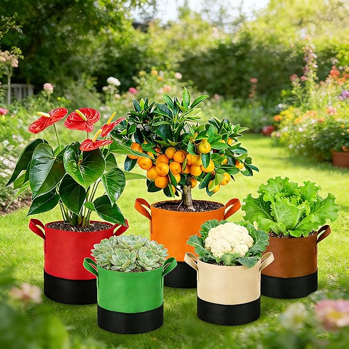 5 Gallon Fabric Grow Bags 5-Pack, 350G Heavy Duty Nonwoven Plant Pots - Image 7