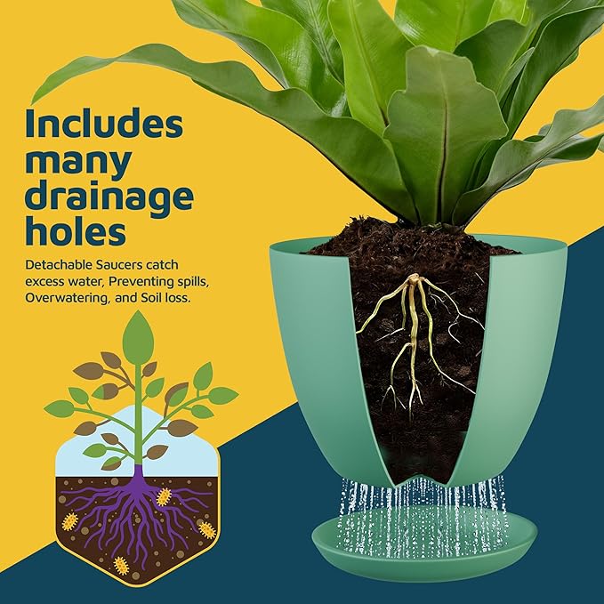 Mint Plant Pots with Drainage Holes & Saucers 3 Pack, Indoor & Outdoor - Image 6