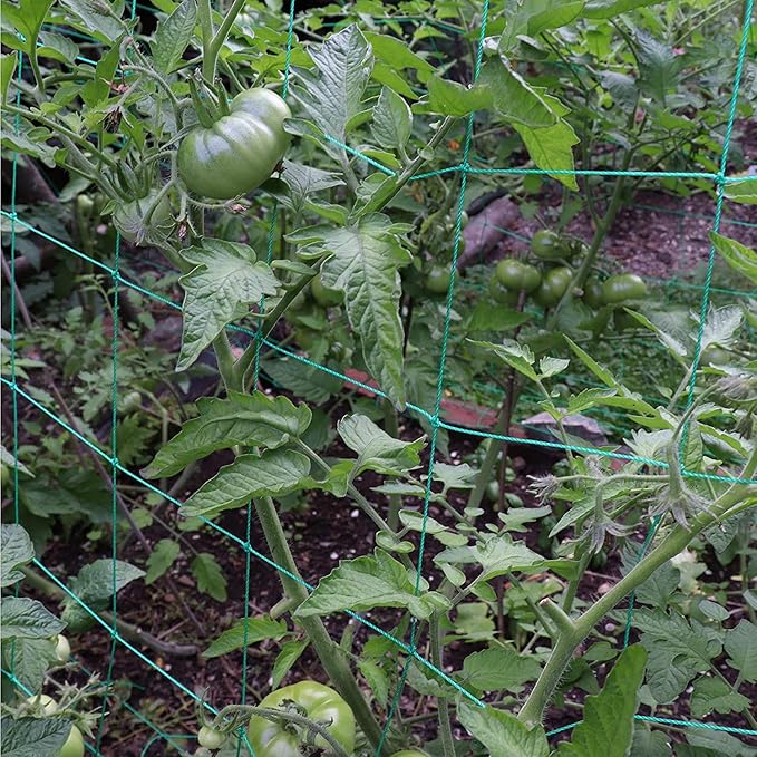 Trellis Netting for Climbing Plants - Image 3