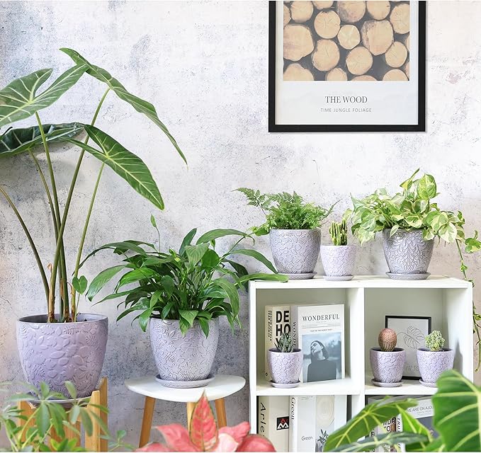 8 Inch + 6 Inch Retro Ceramic Planter Set of 2 - Image 6