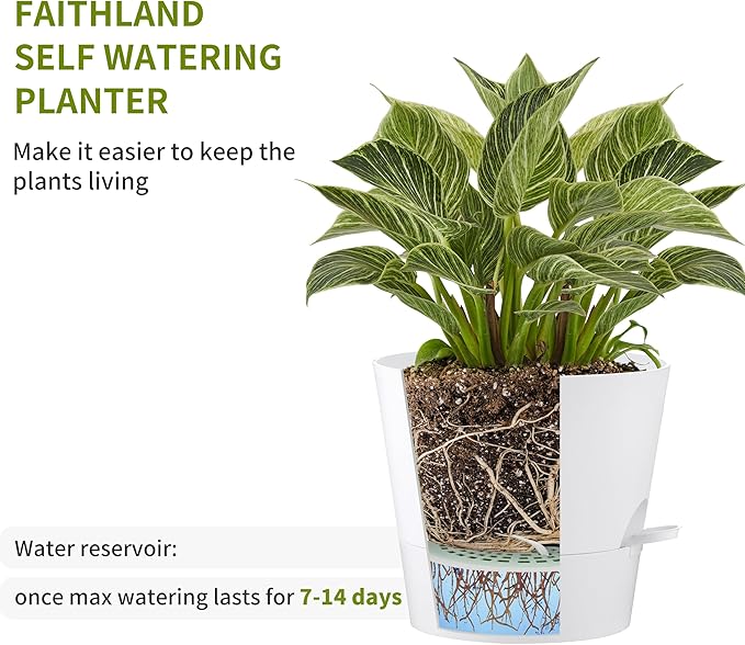 FaithLand 2-Pack 10 Inch Planter Pots - Image 3
