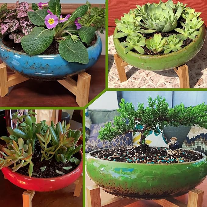 Succulent Pots - Large Succulent Planters Pots - Image 5