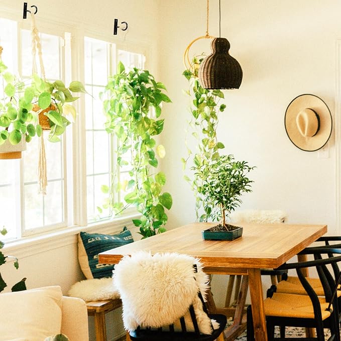 Ceiling Hooks for Hanging Plant, Hanger for Indoor and Outdoor Plant Pots Holder - Image 8