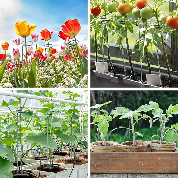 36 Inch 20 Packs Plant Support Stake Garden Single stemmed Plant Support Hoops - Image 6