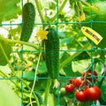 Garden Trellis Netting by SHPPETONB