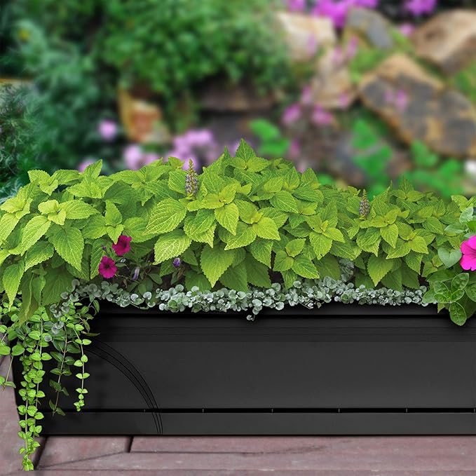 Southern Patio SPAT-MB3612BK 36-Inch Medallion Hanging Windowsill Garden Box - Image 5