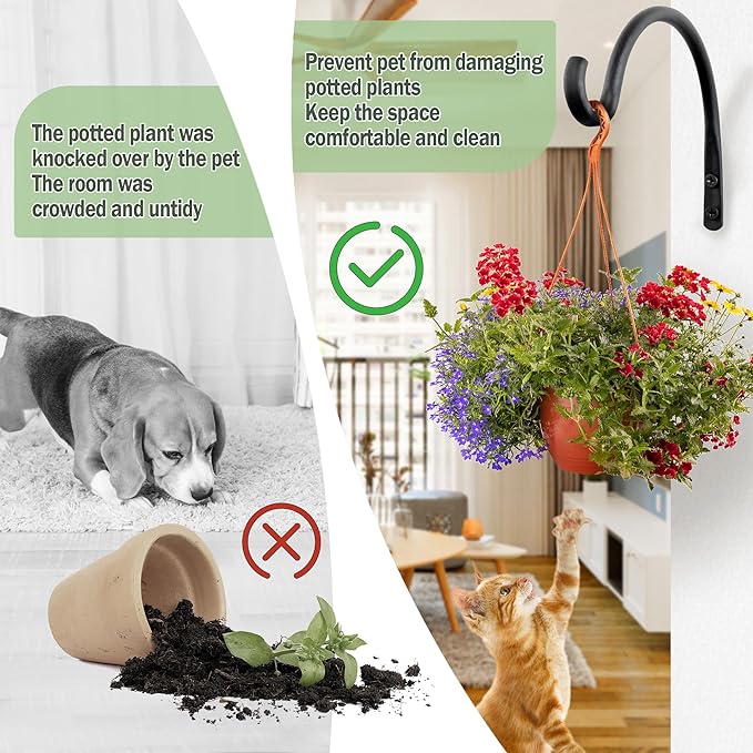 Qiang Ni Hanging Plant Bracket Hooks: 6 Inch Wall Plant Hook Planters and Decor - Image 7