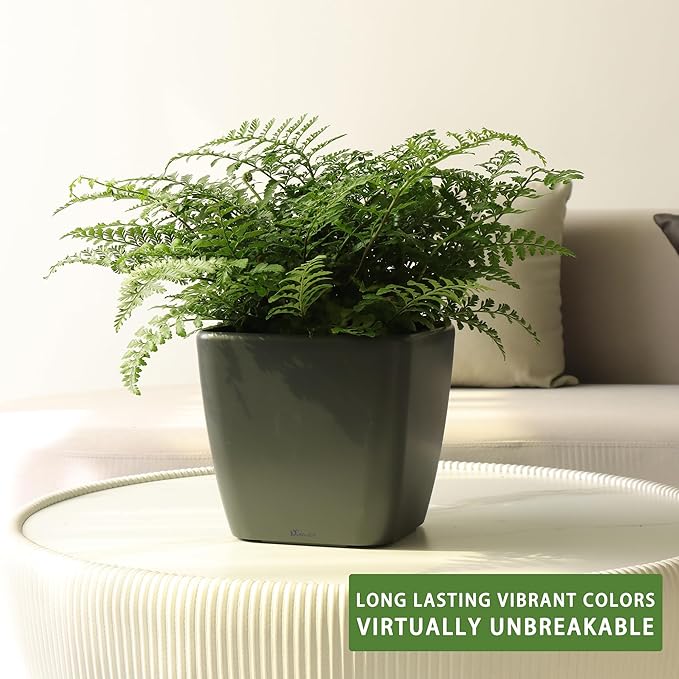 Dexceder 9x8 Self Watering Planter Indoor Outdoor, Inner Mat Design, Thickened - Image 6