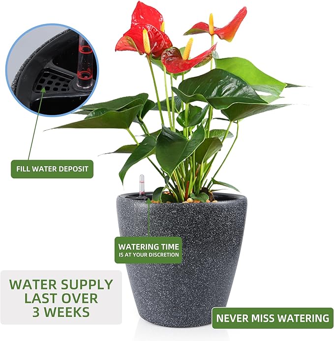 Dexceder 15x14 Self Watering Planter - Image 5