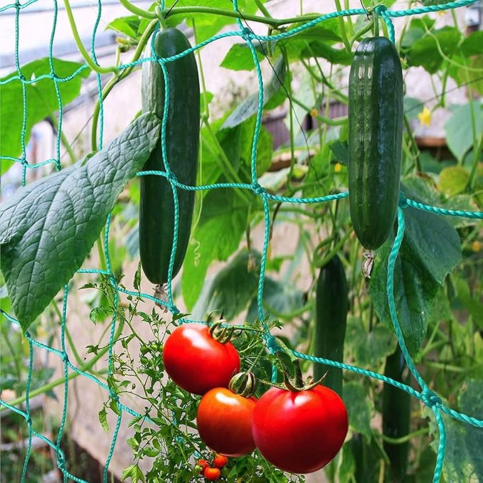 Trellis Netting for Climbing Plants by Miuezuth