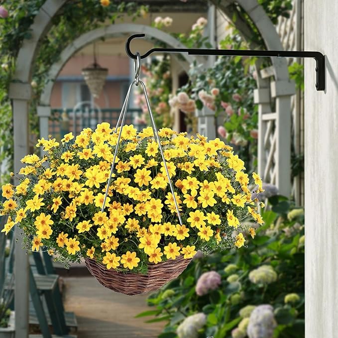 8 Inch 2 Pack Black Heavy Duty Outdoor Plant Hangers, Iron Hanging Plant - Image 8