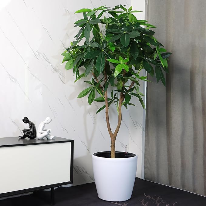 Dexceder 13x12 Self Watering Planter - Image 6