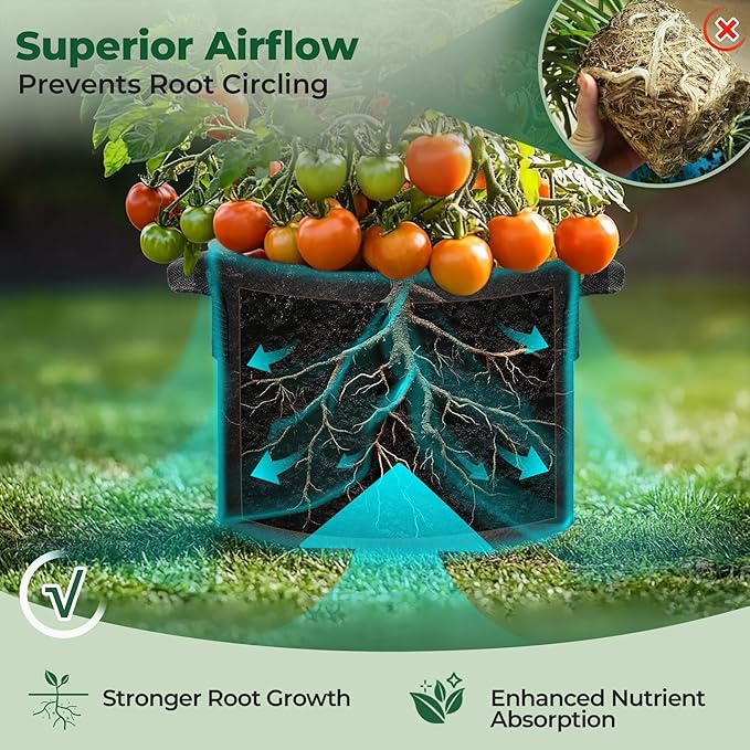 T4U 5 Gallon Grow Bags, Upgrade Grow Bags - Image 5
