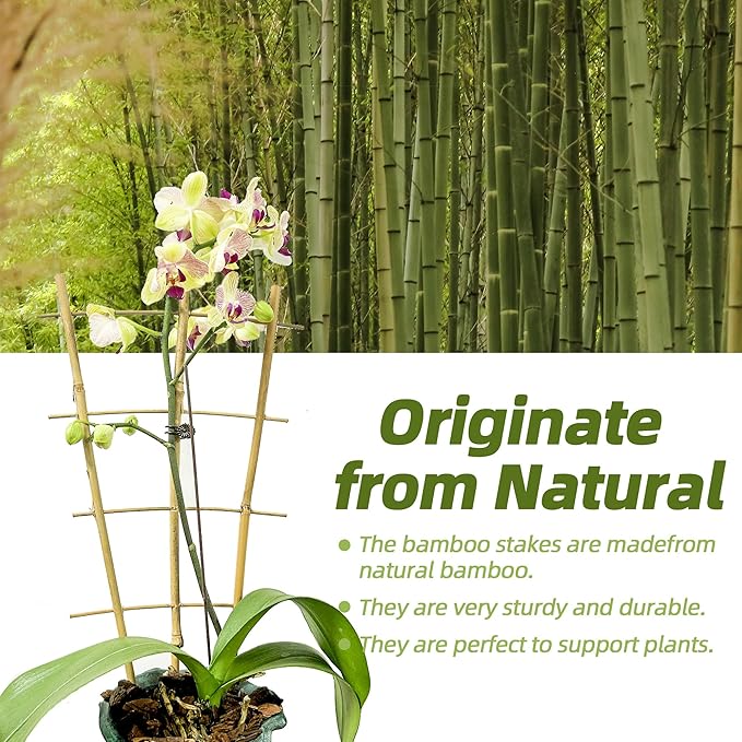 10 Pack 16" Bamboo Trellis for Climbing Plants-Natural Garden Ladder Fan - Image 2