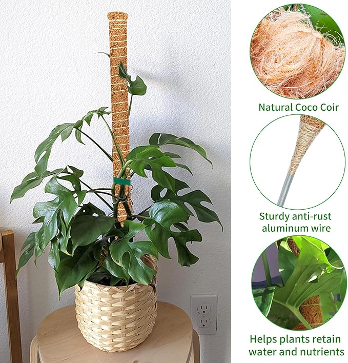 2 Pack 39 Inch Moss Pole Monstera Plant Support, Coir Moss Poles - Image 6
