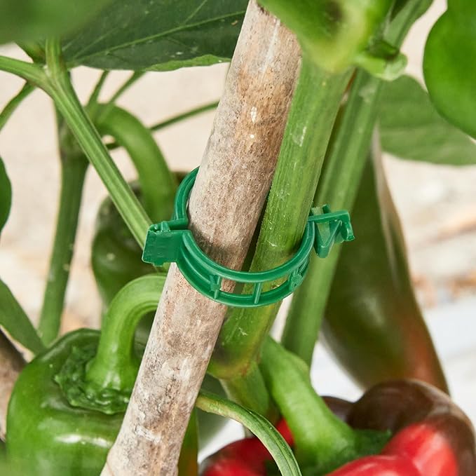 300 Pcs Plant Support Clips, Plastic Clips - Image 9