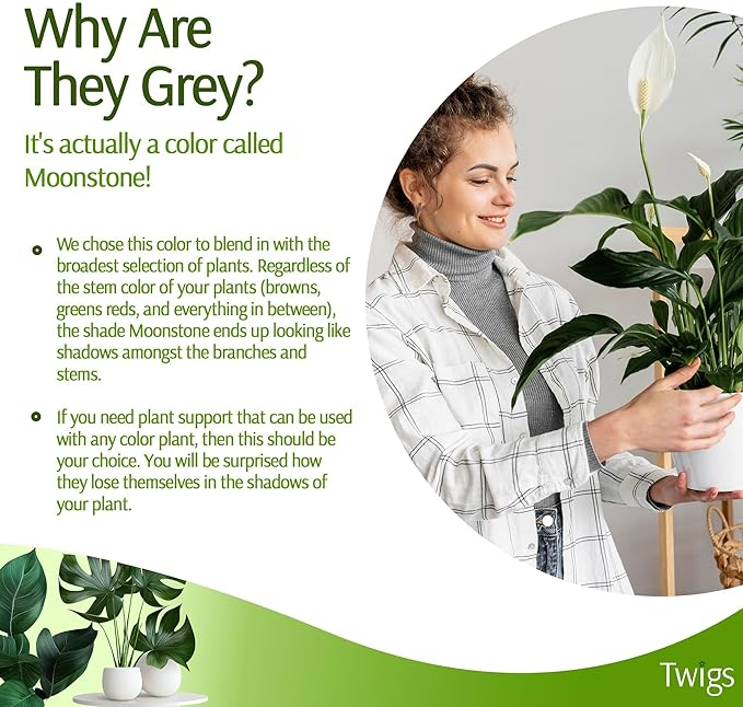 Plant Support Stakes for Indoor & Outdoor Use, Durable Trellis Alternative for - Image 5