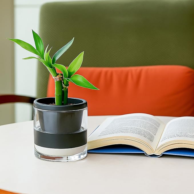 D'vine Dev 4 Inch Design Self Watering Planter - Image 4