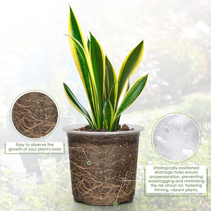 5 Inch Clear Nursery Pots for Plants - Image 3