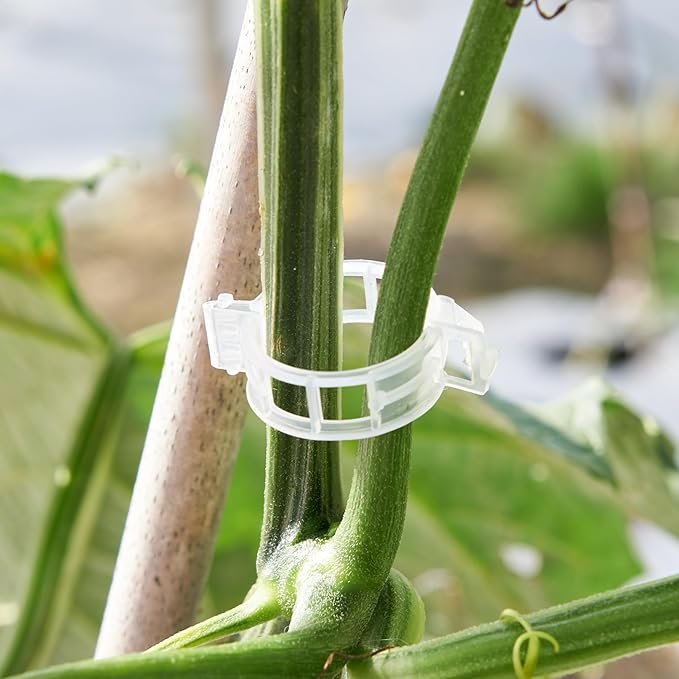 200 Pcs Plant Support Clips, Plastic Clips - Image 4