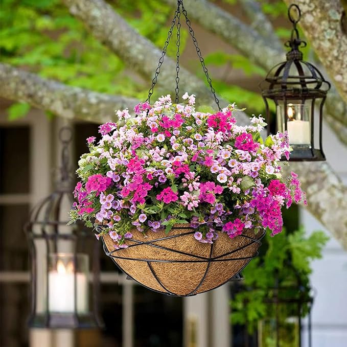 2 Pack 12 Inch Hanging Planters - Image 2