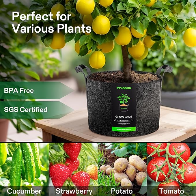 VIVOSUN 5-Pack 30 Gallons Grow Bags, Heavy Duty Thickened Nonwoven Fabric Pots - Image 2