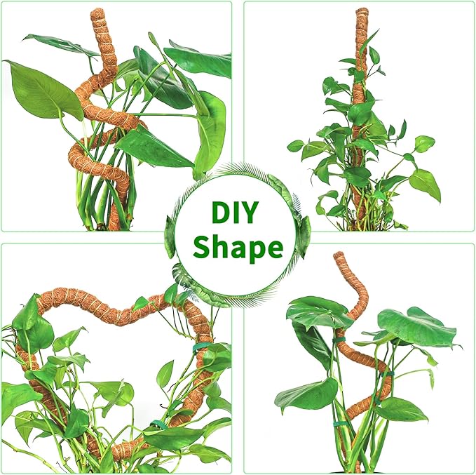 2 Pack 28 Inch Moss Pole Monstera Plant Support, Coir Moss Poles - Image 4