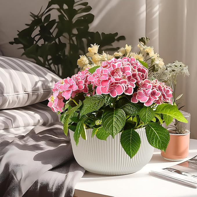 T4U 12 Inch Large Self Watering Plant Pots, Wide Self Watering Planter - Image 7