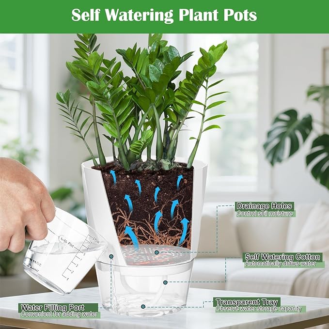 KIMCHOMERSE Self Watering Plant Pots, 6 Inch Plant Pots White, 6 Pack Flowers - Image 3