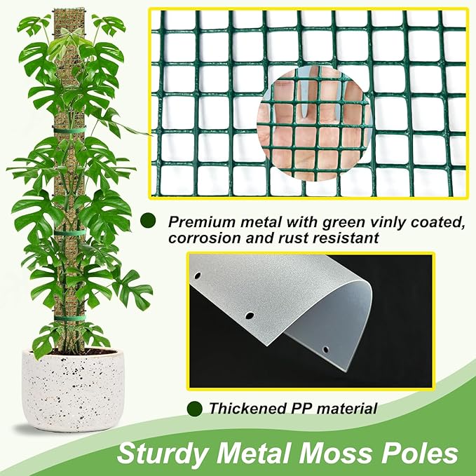 60"/40"/24" Metal Moss Pole, D Shape Sphagnum Moss Pole, Moss Poles - Image 3