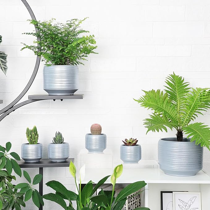 Mini Succulent Planter Set – 3.7 Inch Ceramic Pots - Image 6