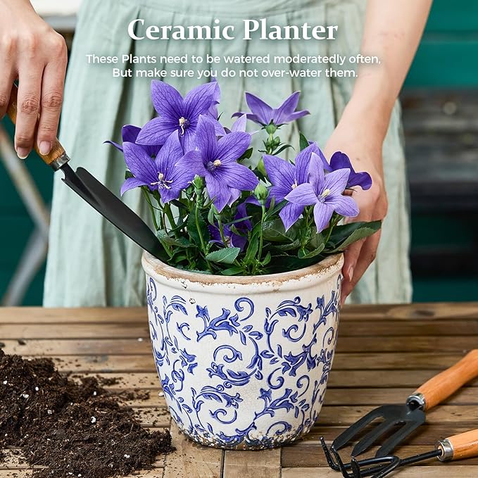 Vintage Ceramic Planter Without Drainage Hole, 6.5 Inch - Image 2