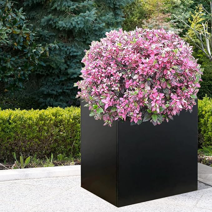 Galvanized Steel Planter Box 26Inch Black Metal Planter Large Square Indoor - Image 8