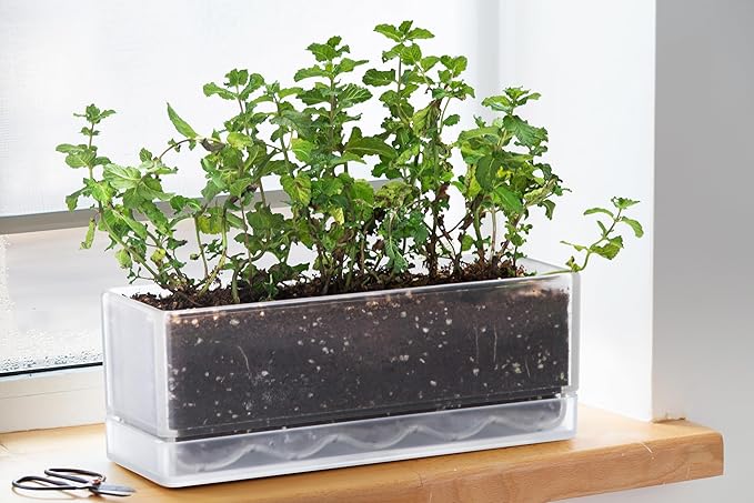 D'vine Dev 12 Inch Window Box Planter, Rectangle Plastic Herb Planter - Image 5