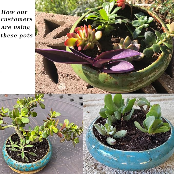 ARTKETTY Succulent Pots - Image 5