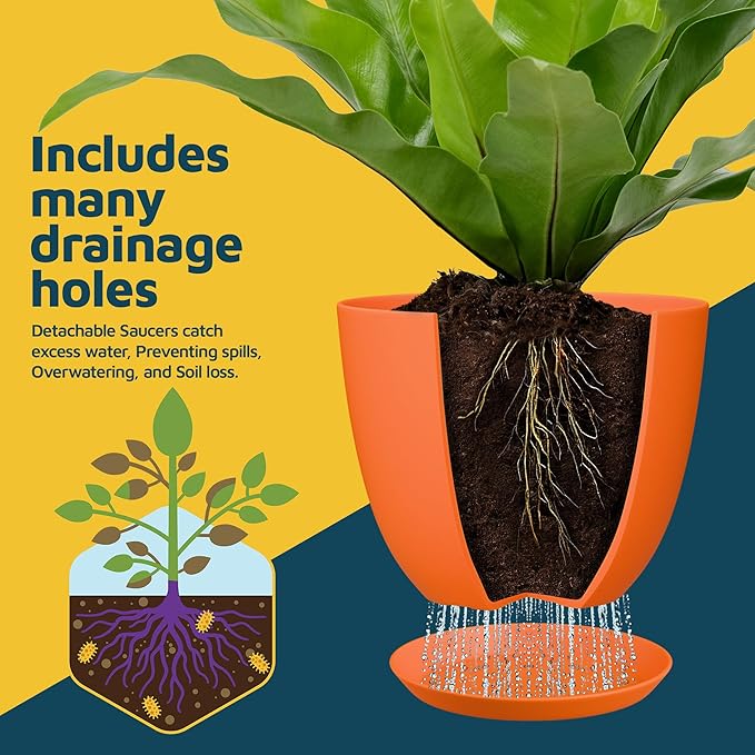 Yellow Plant Pots with Drainage Holes & Saucers 3 Pack, Indoor & Outdoor - Image 6