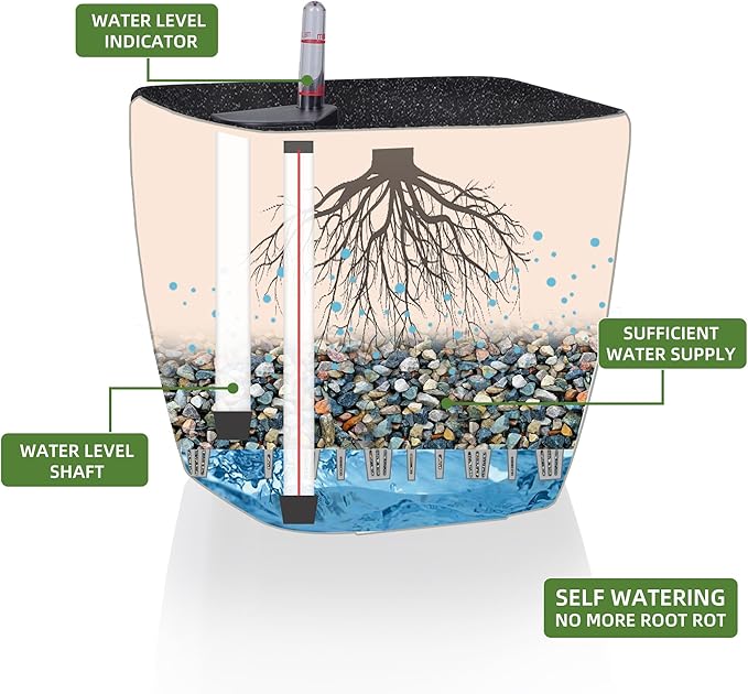 Dexceder 13x12 Self Watering Planter - Image 2