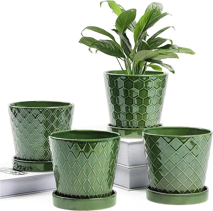 BUYMAX Plant Pots Indoor –5 inch Ceramic Flower Pot by BUYMAX