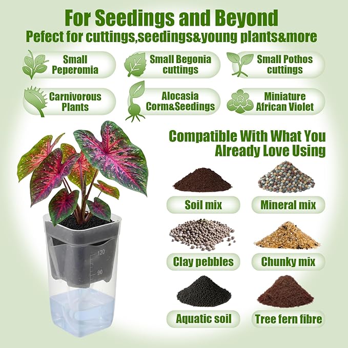 LemonRoad 20 Pack 2" Small Self Watering Pots - Image 5