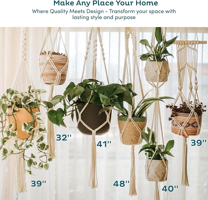 Nook Theory 6-Pack Macrame Plant Hangers - Image 8