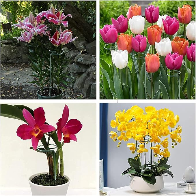Joyhalo 20 Pack Plant Support Stakes 36 Inches, Plant Stakes, Flower Stakes - Image 8
