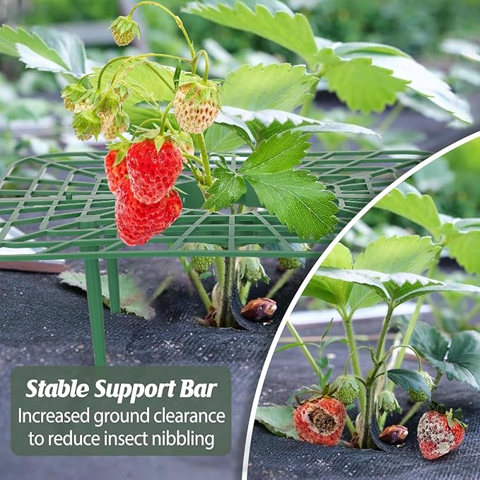 4 Sets Strawberry Plant Support - Image 7