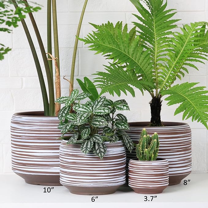 Mini Succulent Planter Set – 3.7 Inch Ceramic Pots - Image 6
