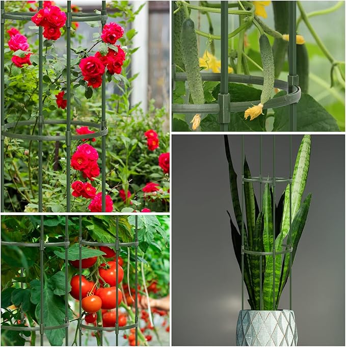 Round Heavy Duty Tomato Cage - Image 8