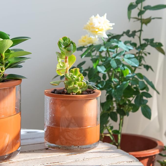 Phoenix Vine 4 Inch Self Watering Plants Pot, Design Terracotta Pot - Image 2