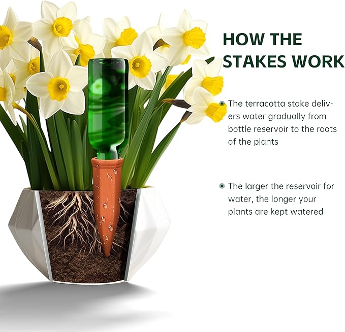 Large Terracotta Watering Spikes - Image 4