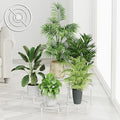 5 Pack Metal Plant Stand Indoor Outdoor Anti-Rust Iron Flower Pot Stand Holder by Unknown