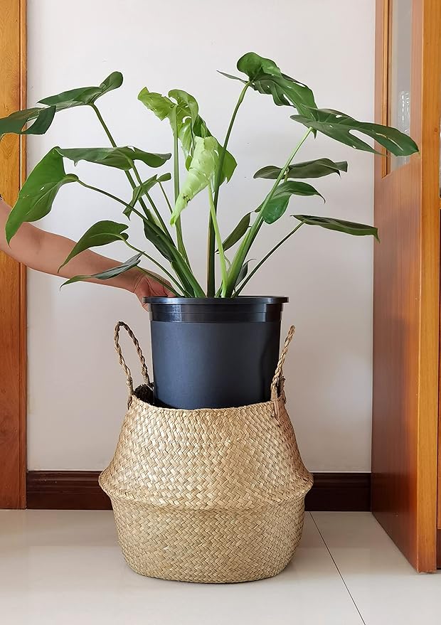 5 Gallon 10-Pack Green Nursery Pot Black Plastic Planters - Image 7