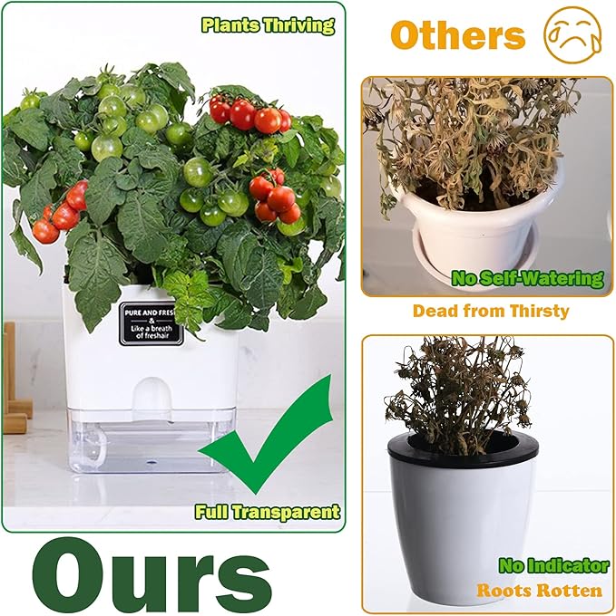Planterhoma Self Watering Plant Pots - Image 2