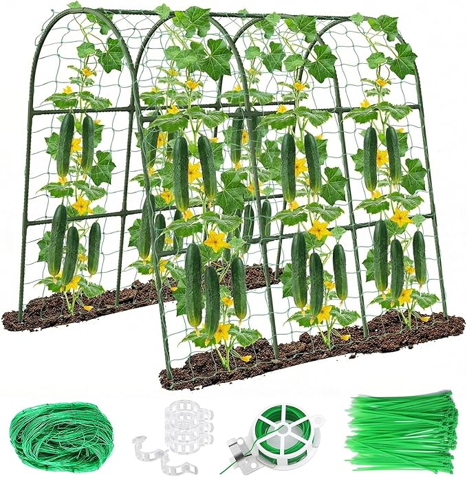 U-Shape Cucumber Trellis for Raised Bed by Eunice